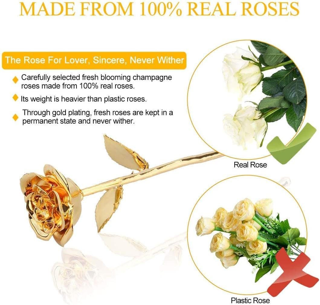 24K Gold Rose for Her, Eternal Eternity Love Real Golden Plated Preserved Eternal Rose Flower, Best Present for Anniversary Day Wife/Mom/Grandma/Women (Gold)